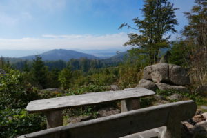 Mehr über den Artikel erfahren Thüringer Wald: Rennsteig #2 – Von der Hohen Sonne bis zum Großen Inselsberg