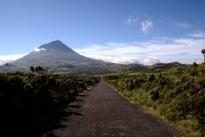 Mehr über den Artikel erfahren Azoren: Inselwechsel von Faial nach Pico
