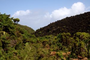 Mehr über den Artikel erfahren Azoren: Terceira – Misterio do Negros und Algar do Carvao