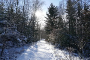 Mehr über den Artikel erfahren Drei-Dörfer-Weg Esborn – Schneewanderung