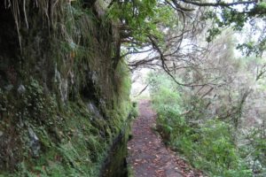 Mehr über den Artikel erfahren Madeira: Wanderung zum Caldeirão Verde
