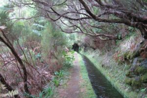 Mehr über den Artikel erfahren Madeira: „Geheimpfade“ rund um Rabacal