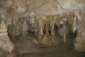 Mehr über den Artikel erfahren Mallorcas Unterwelt – Teil 2: natürlich