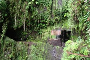 Mehr über den Artikel erfahren Madeira: Entlang der Levada da Janela