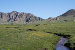 Mehr über den Artikel erfahren Mongolei – Im Terelj-Nationalpark