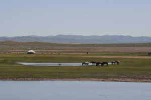 Mehr über den Artikel erfahren Mongolei – Bayangobi – Tschüss Zivilisation