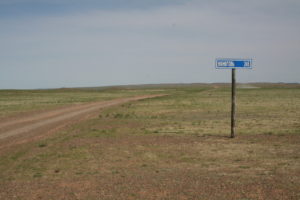 Mehr über den Artikel erfahren Mongolei – Die Gobi riecht nach Schnittlauch