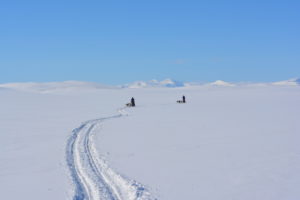 Mehr über den Artikel erfahren Lapplands Drag – Husky Expedition: Aufstieg aufs Hochplateau