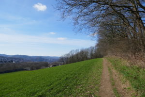 Mehr über den Artikel erfahren Letmather Wandermulti