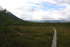 Mehr über den Artikel erfahren Lofoten – Kiruna: Abisko Nationalpark und Bahnhöfe im Nirgendwo