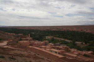 Mehr über den Artikel erfahren Marokko: Fossilien in Erfoud – Oasen im Daddes-Tal – Bou Trarar