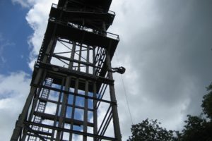 Mehr über den Artikel erfahren Kletterkurs Up & Down – Baumklettern und Abseilen