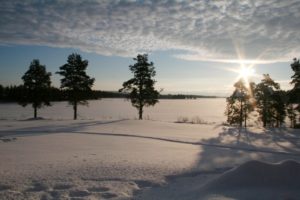 Mehr über den Artikel erfahren Lapplands Drag – Geführte Huskytour: Tag 4