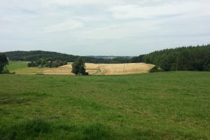 Mehr über den Artikel erfahren Sauersteig – Romberg Runde – Menden