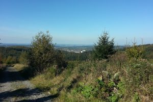Mehr über den Artikel erfahren Sauersteig – Eisenwald Runde – Iserlohn