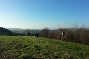 Mehr über den Artikel erfahren Ruhrsteig – Elsebachtal-Runde