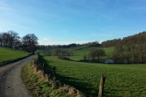 Mehr über den Artikel erfahren Sauersteig – Langscheider Gipfelrunde – Sorpesee