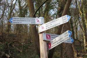 Mehr über den Artikel erfahren RBW#1 – Der Weg ist das Ziel! – Vom Rolandsbogen bis Andernach