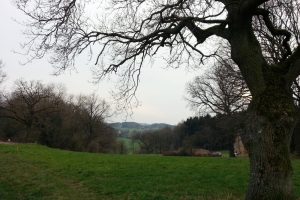 Mehr über den Artikel erfahren Ruhrsteig – Elbschebachtal Runde – Wengern