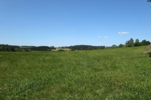 Mehr über den Artikel erfahren Natursteig Sieg #10: Rund um Wissen