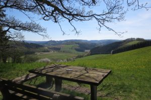 Mehr über den Artikel erfahren Sauersteig – Schatz des Manitu Runde – Lennestadt