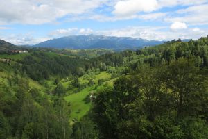 Mehr über den Artikel erfahren Rumänien Tag 5 – Rundtour durch das Königstein-Gebirge
