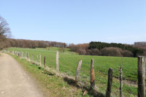 Mehr über den Artikel erfahren Bergische Wanderungen – Zwischen Ennepe und Wupper