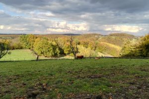 Mehr über den Artikel erfahren Track & Trail Felderbach