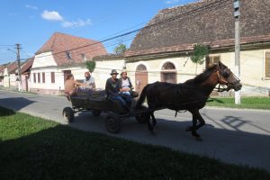 Mehr über den Artikel erfahren Rumänien Tag 10 – Die Brombeerwanderung und Biertan