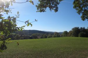 Mehr über den Artikel erfahren Sauersteig – Lüerwald und Bieberbach – Oesbern