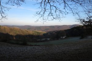 Mehr über den Artikel erfahren Wanderrunde durch die Elfringhauser Schweiz