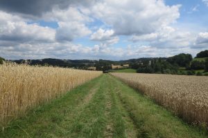 Mehr über den Artikel erfahren Track & Trail Oefte