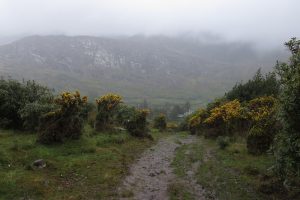 Mehr über den Artikel erfahren Irland: Beara Way – Von Glengarriff nach Adrigole