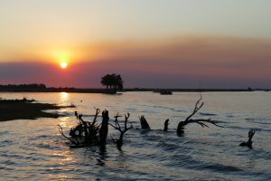 Mehr über den Artikel erfahren Afrika 2017: Viktoriafälle aus der Luft und Bootsfahrt auf dem Chobe