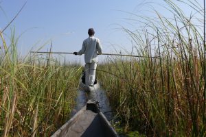 Mehr über den Artikel erfahren Afrika 2017: Okavangodelta – zu Lande, zu Wasser und in der Luft