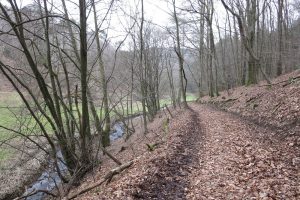 Mehr über den Artikel erfahren Natursteig Sieg #06: Schleife um Herchen