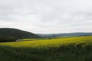 Mehr über den Artikel erfahren Naturpark Lahn-Dill-Bergland – Schauinsland