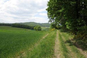 Mehr über den Artikel erfahren Naturpark Lahn-Dill-Bergland – Gladenbacher Berglandring