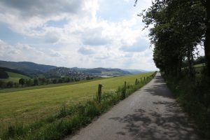 Mehr über den Artikel erfahren Sauersteig – Lörmecke-Turm-Pfad – Eversberg