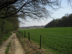 Mehr über den Artikel erfahren Stevig Stappen-Tour rund um Groesbeek