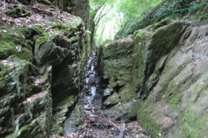 Mehr über den Artikel erfahren Lahnwanderweg #4: Von Nievern nach Niederlahnstein